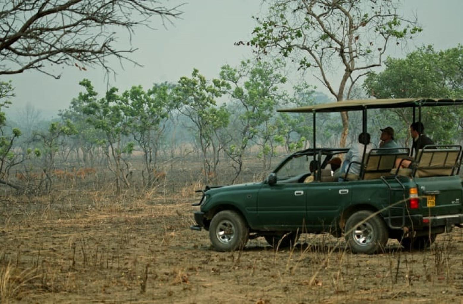 Safaris
