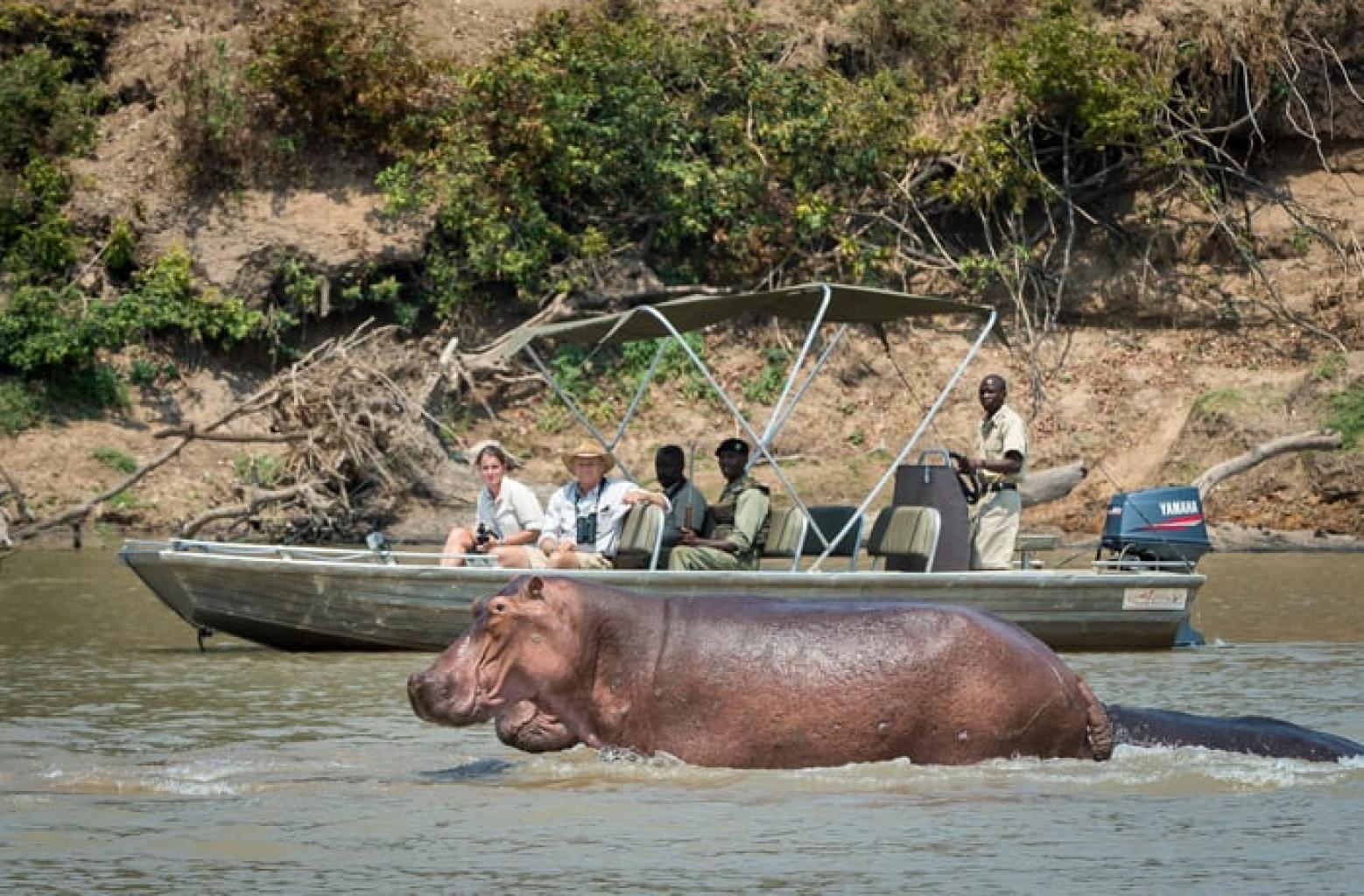Safaris