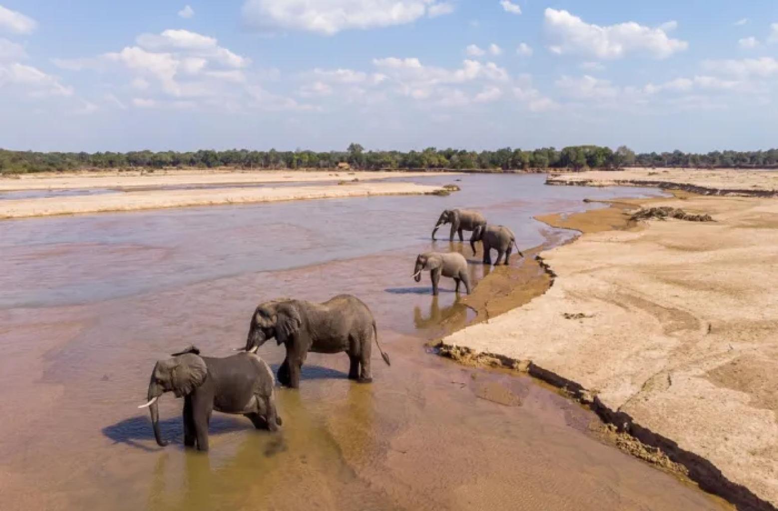 Safaris